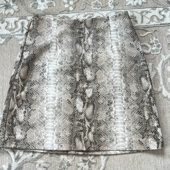 Dynamite Snake Leather Skirt - Picture 2 of 4